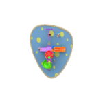 bug_aer